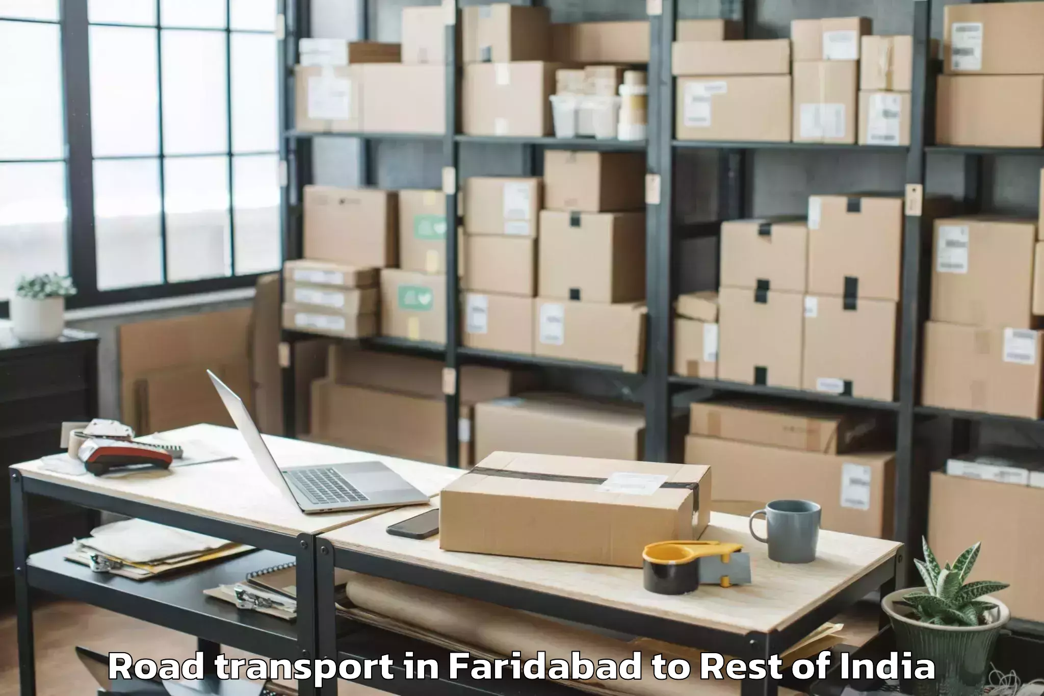 Affordable Faridabad to Chilkoor Road Transport